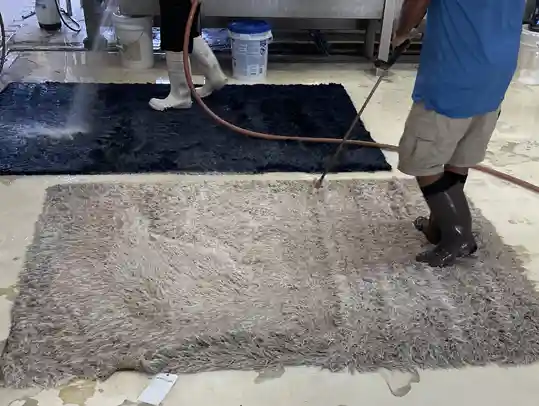 Modern Rug Cleaning Service