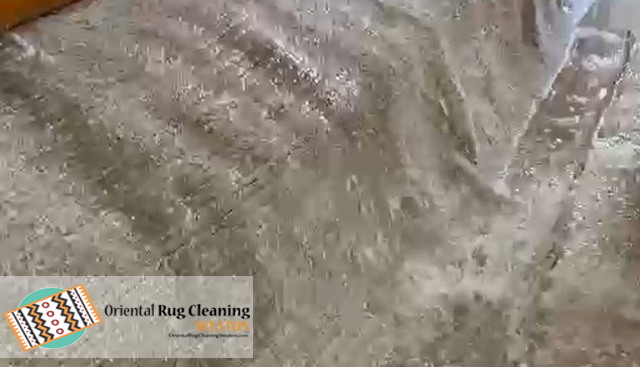 Persian Rug Cleaning