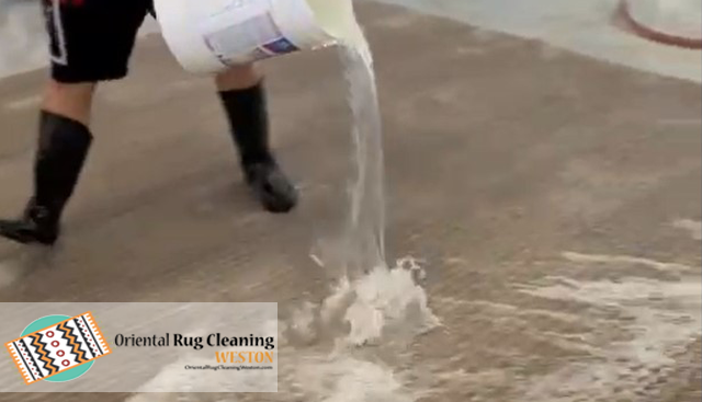 Antique Rug Cleaning