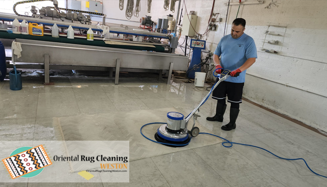 Expert Area Rug Cleaning Service