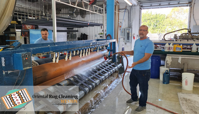 Expert Oriental Rug Cleaning Service