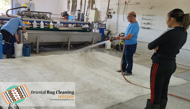 Expert Oriental Rug Cleaning