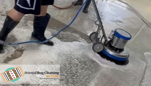Expert Persian Rug Cleaning
