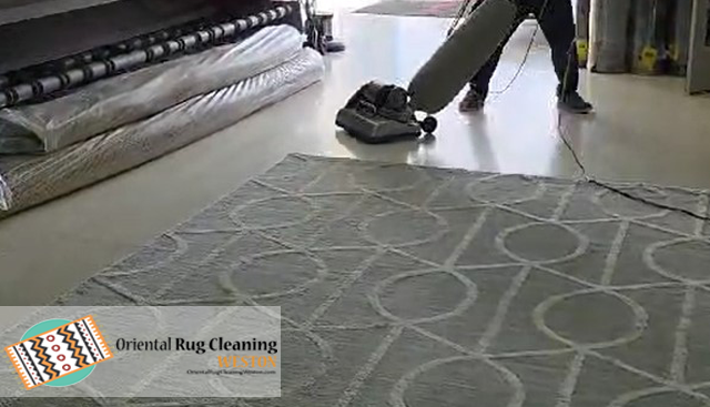 Professional Area Rug Cleaning