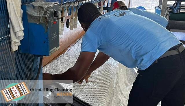 Sisal Rug Cleaning Service