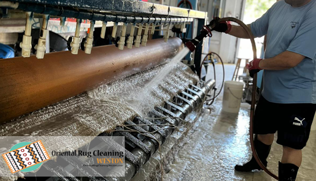 Elegance Expert Modern Rug Cleaning