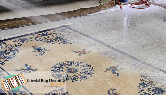 Expert Pet Odor an Stain Removal Service