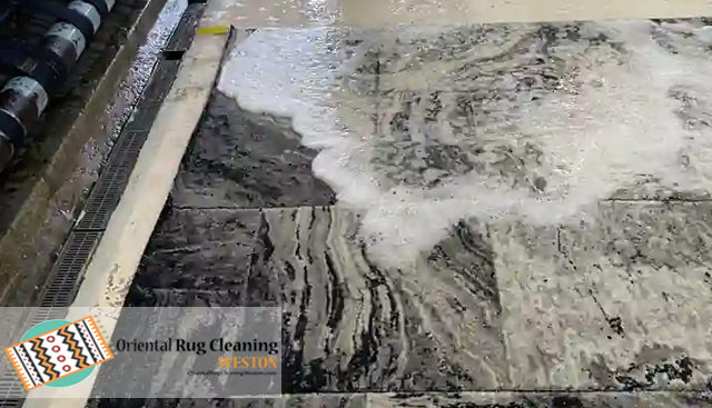 Expert Pet Odor and Stain Removal