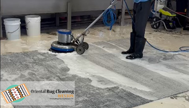 Professional Sisal Rug Cleaning Service
