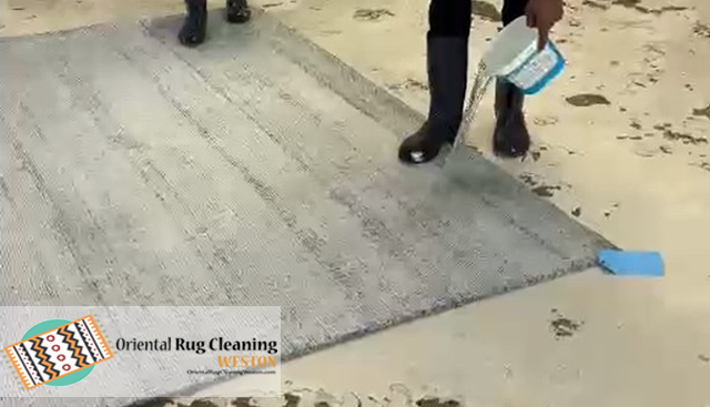 Professional Sisal Rug Cleaning