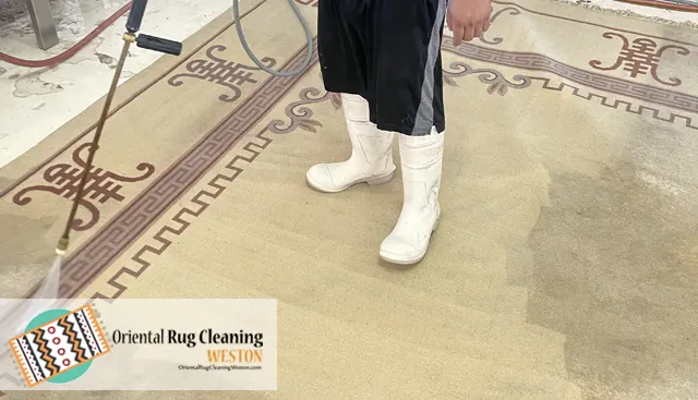 Oriental Rug Cleaning
