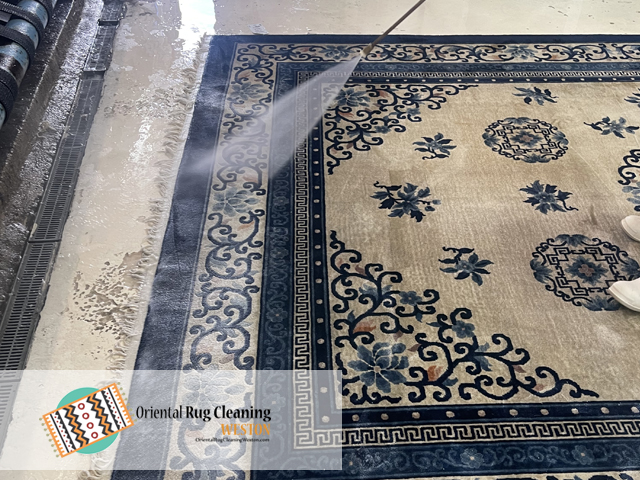 Pet Odor & Stain Removal
